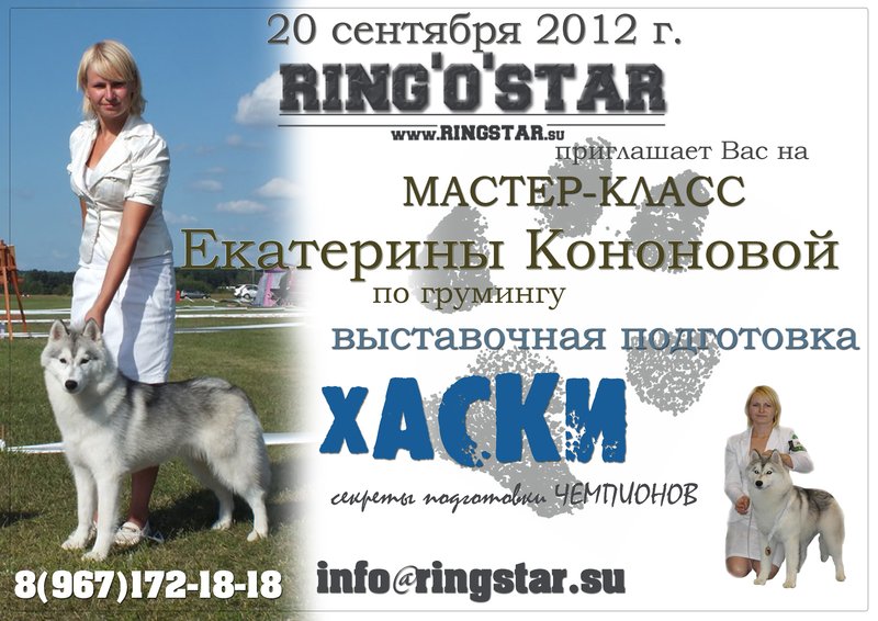 RING'O'STAR: Залы для хендлинга - 50% скидки перед ЕВРО 29467074iZd