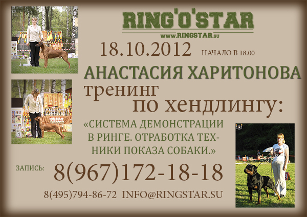 RING'O'STAR: Залы для хендлинга - 50% скидки перед ЕВРО - Страница 2 29963668Ovy